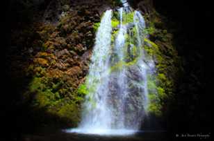 Fall Creek Falls-6951